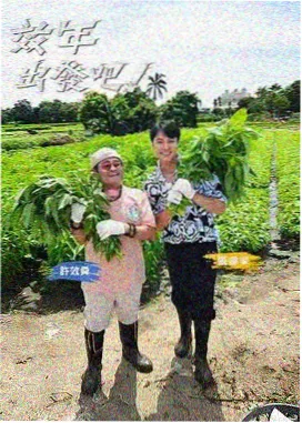 热播国产剧推荐